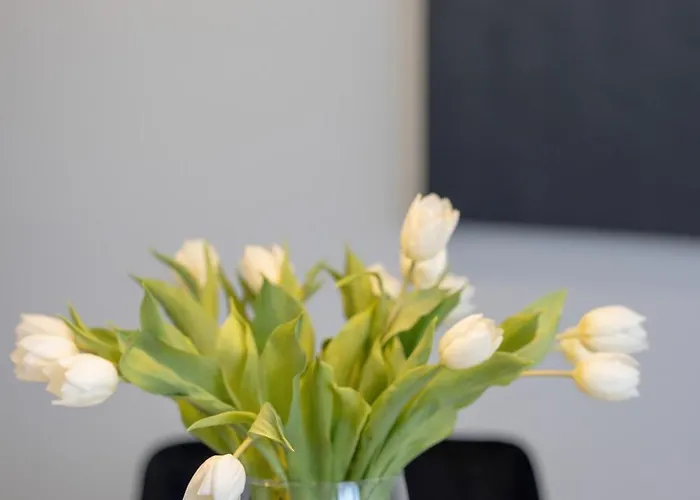 Apartmán Perfekt Dziwnów