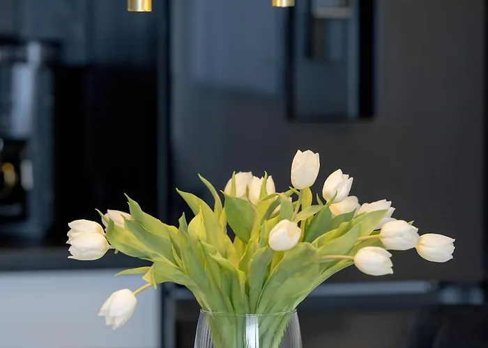 Perfekt Apartmán Dziwnów